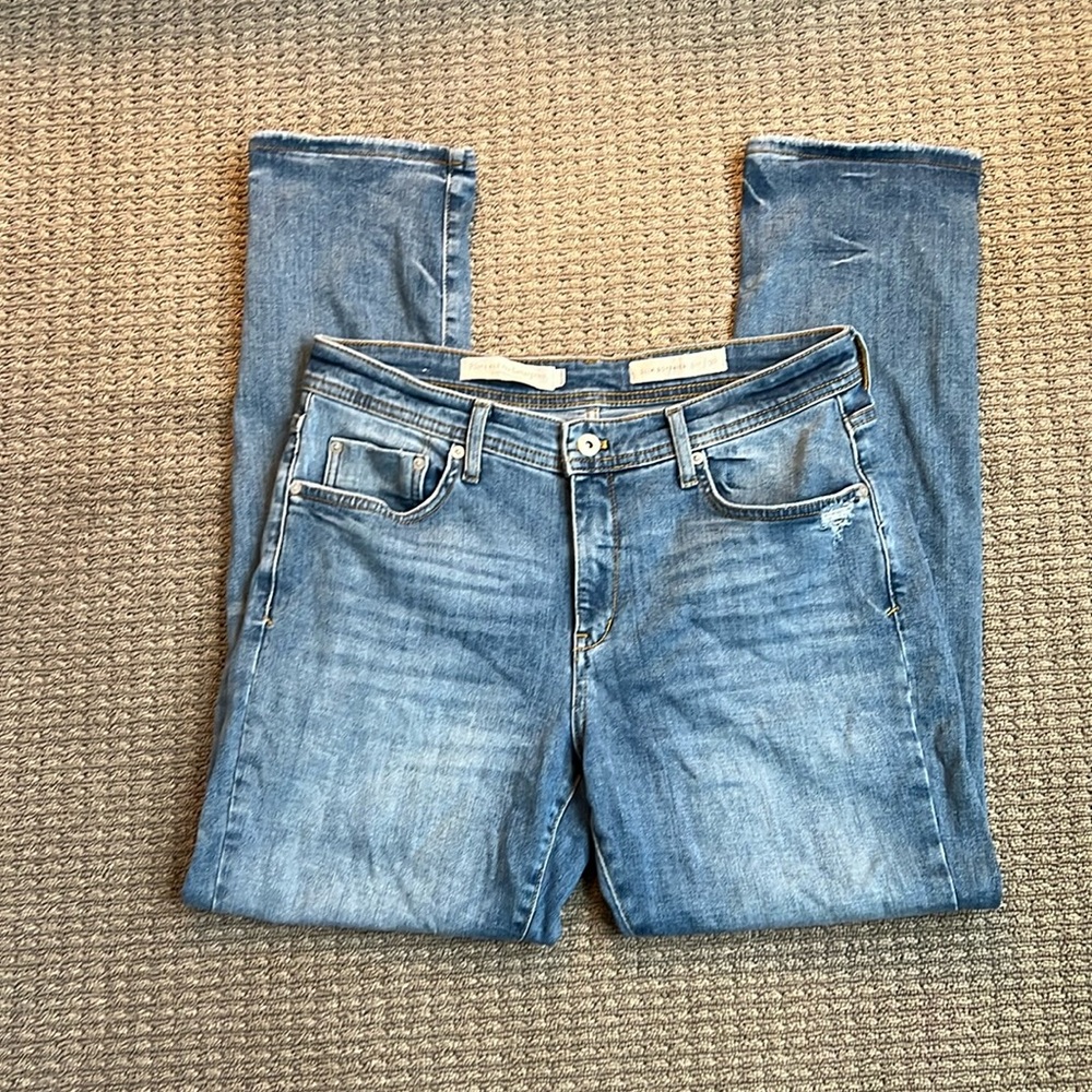 Pilcro and the Letterpress by Anthropologie Slim Boyfriend Distressed Jeans